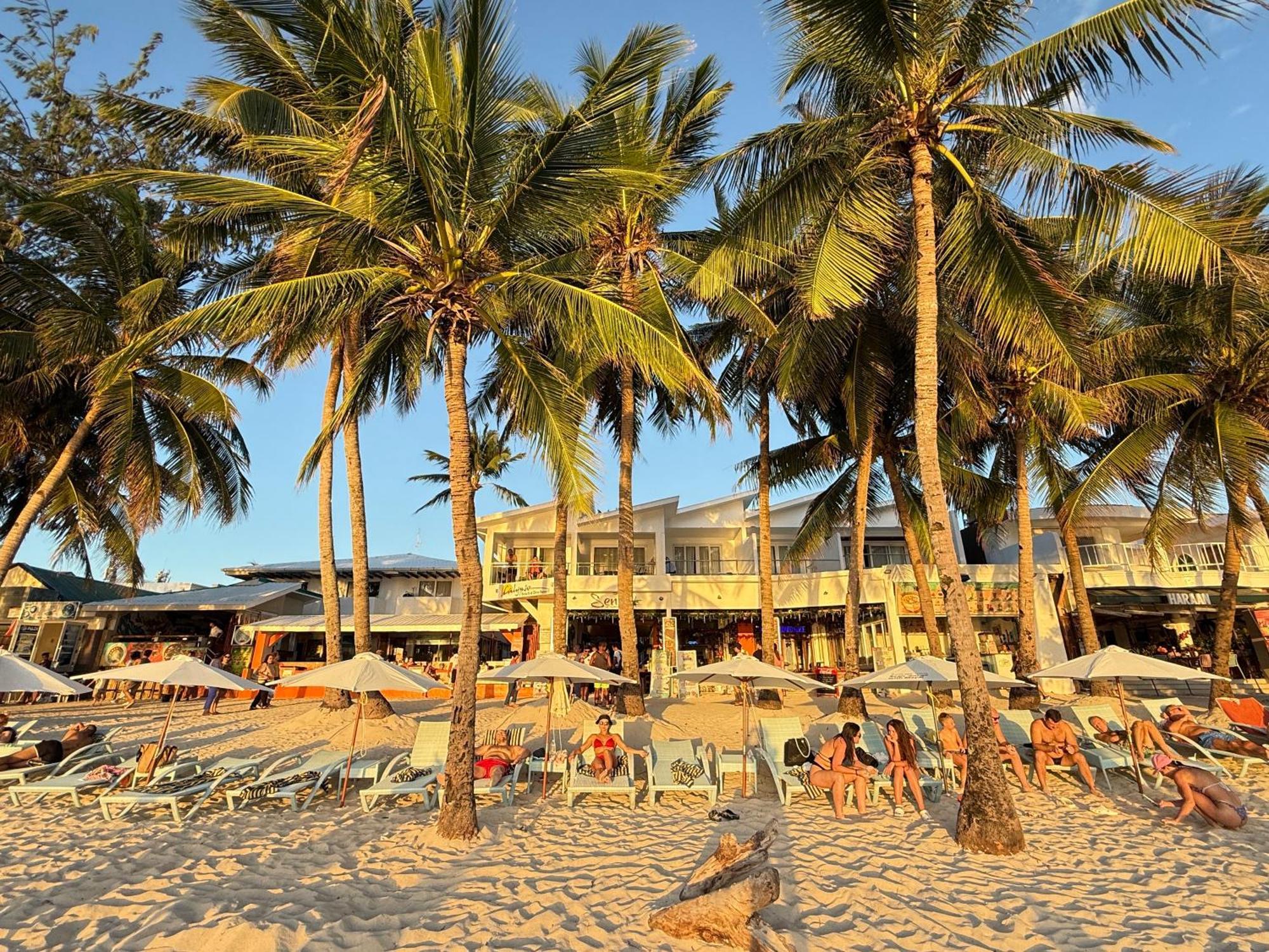 Calypso Beach And Dive Resort Manoc-Manoc Exterior foto